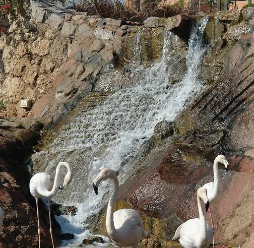 Resort Hauza & Aqua Şarm El-Şeyh